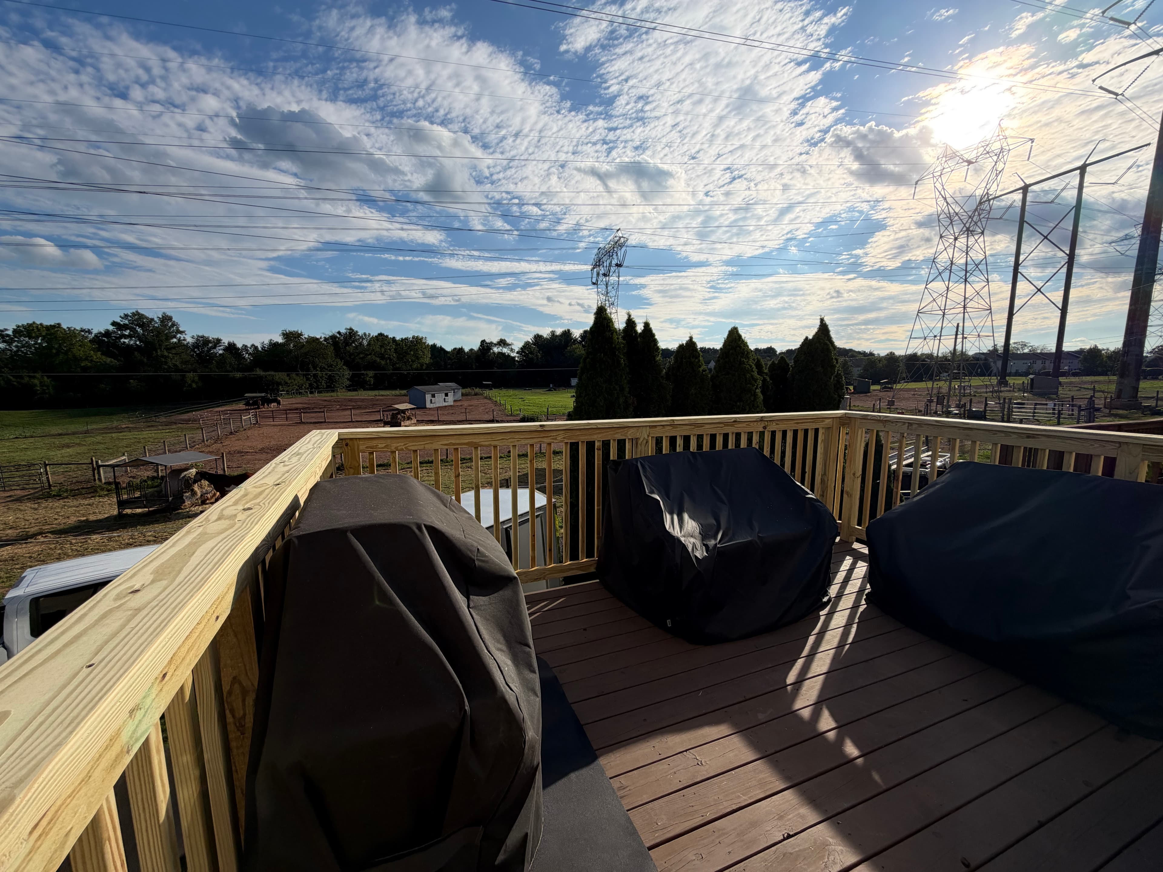 Elevated Deck with New Railing